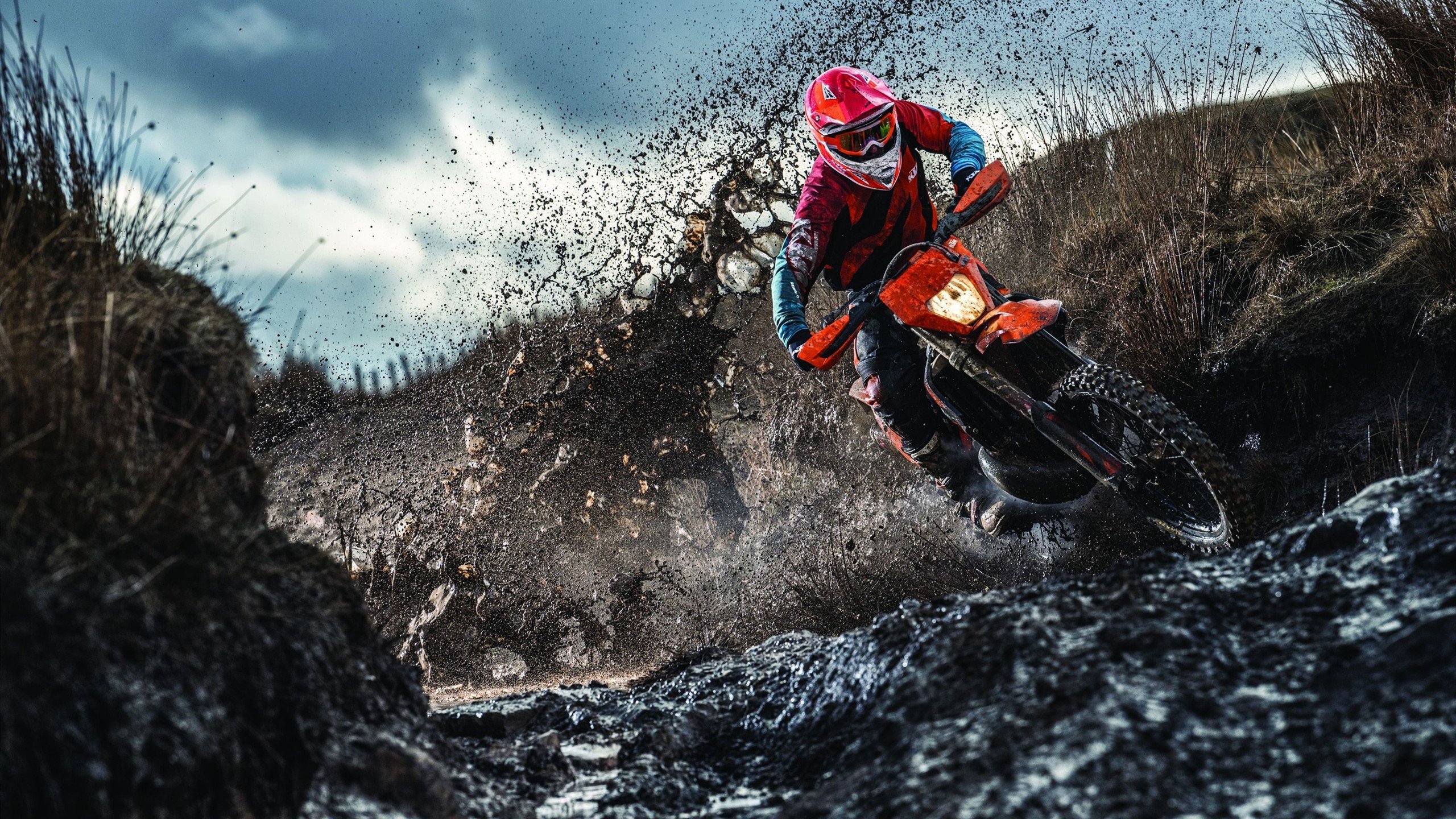 詹姆斯末节封神!公牛惊天逆转广厦,关键先生定义何为领袖